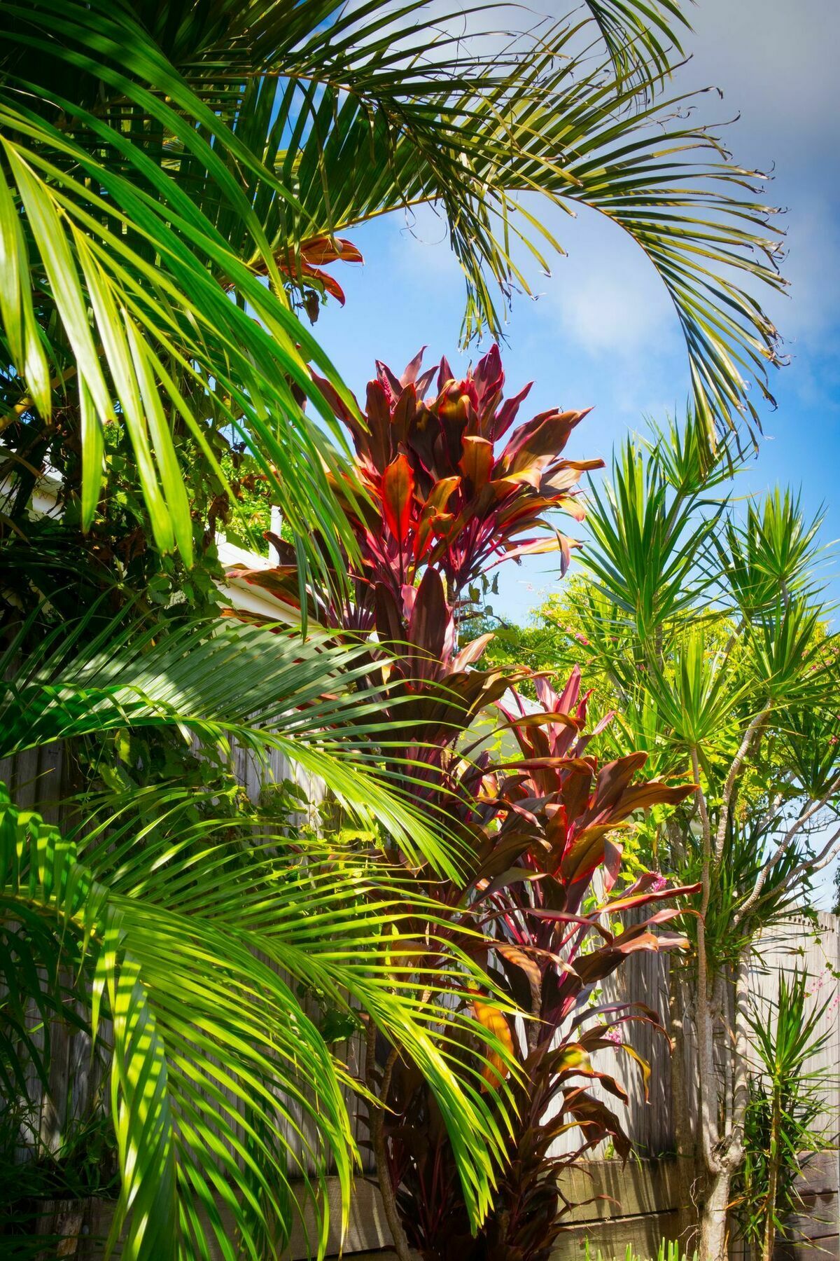 Ruskin House Byron Bay Exterior photo